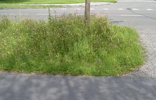 een stukje berm