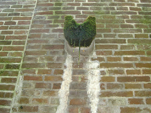 het vocht lijkt wel een echt probleem...