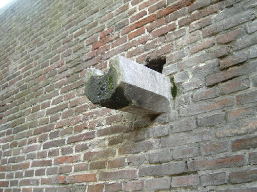 toch een fascinerend verschijnsel...