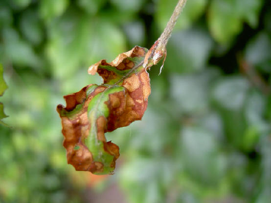 en dan is het notabene lente ...