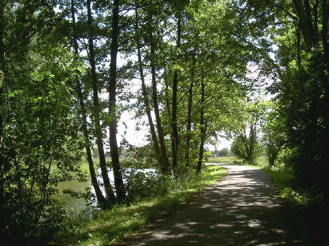 stukje dijk