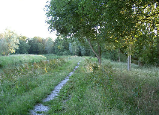 groene oase