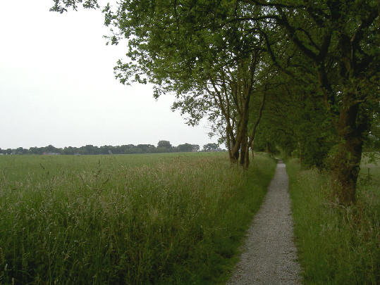 weg langs hunebed