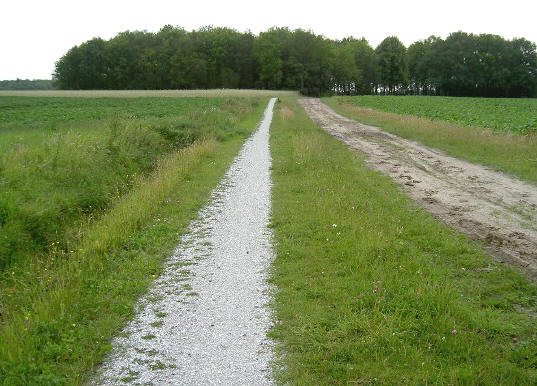 in dit bosje ligt het hunebed