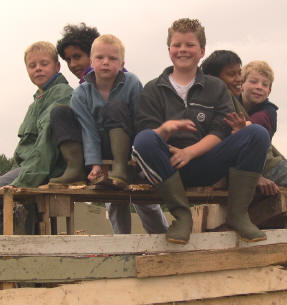 poseren op het dak...