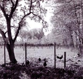 het kerkje van eenum - foto harry cock