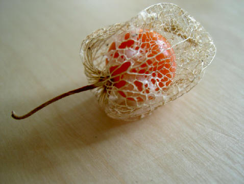 flinterdun skelet