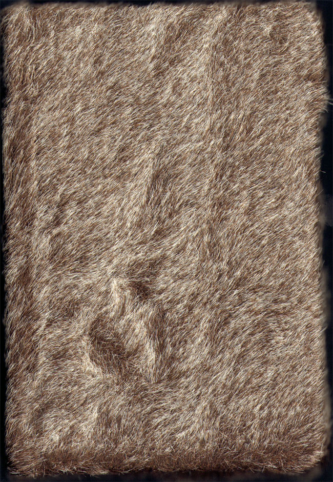 furry