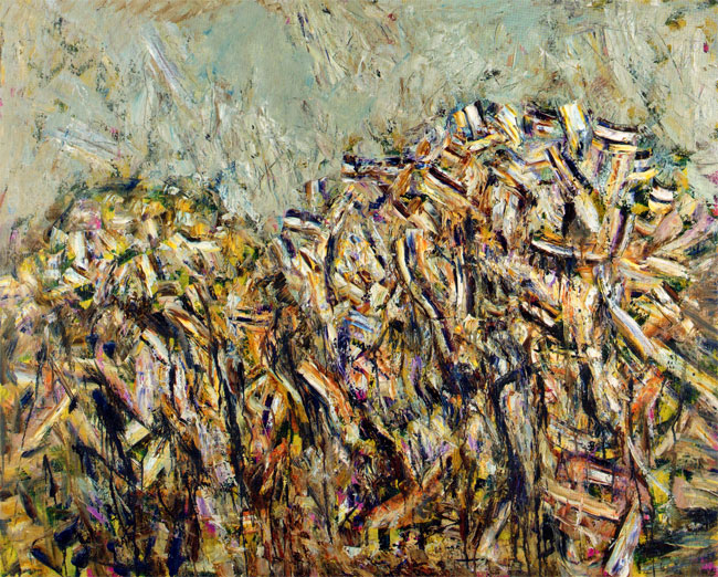 la montagne hou, 1992