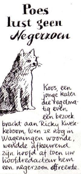 poes en negerzoen...