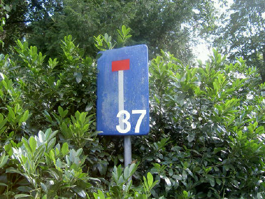 nummer 37