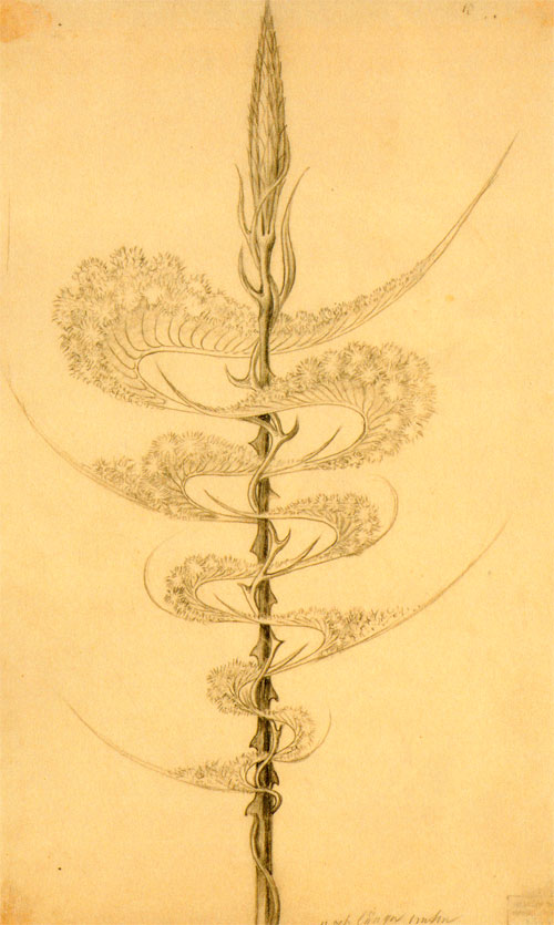 tekening...