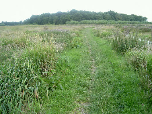 het pad gaat ruim om het bos heen...