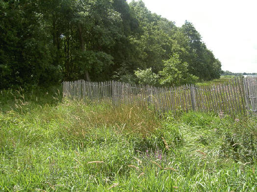 het bos is de voormailge eendenkooi, het hek is om het vogelbroedterrein af te schermen...
