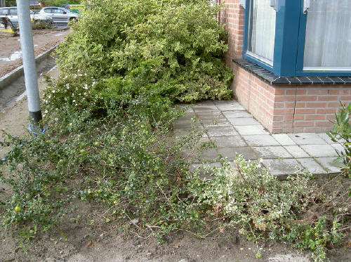 de linkerhoek van het novogebouw...