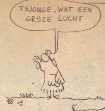uil kijkt naar de lucht...