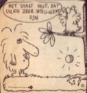 het staat vast dat uilen zeer intelligent zijn