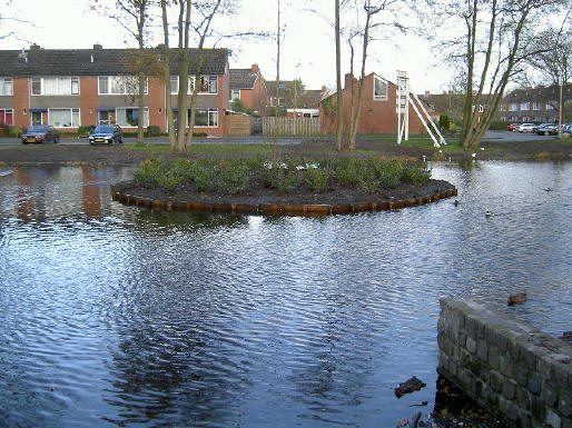 struiken en boompje