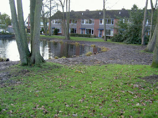 kale boel