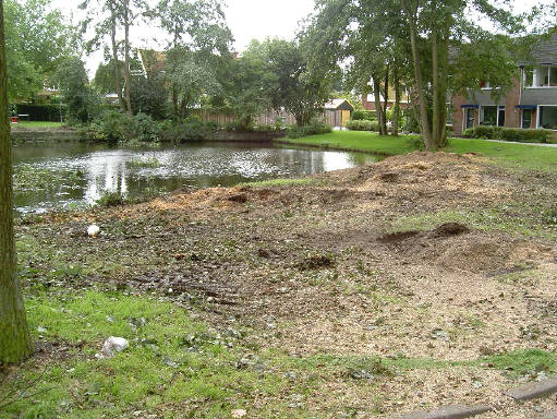 33 bomen zijn er gesneuveld...