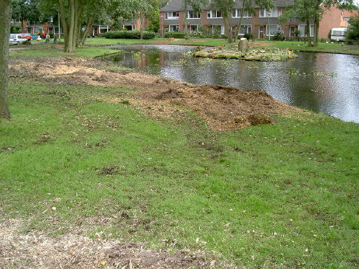 kale boel, niet?