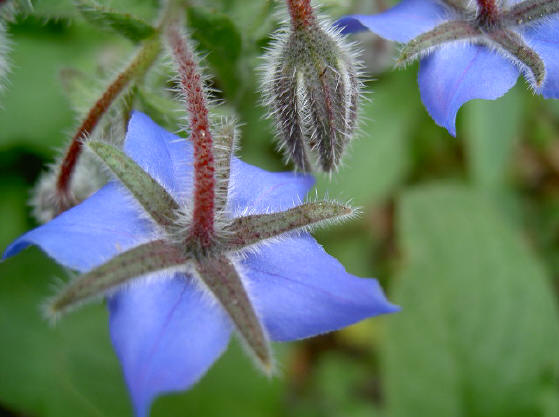 rood, grijs en blauw - een kunstenaar zou de combinatie niet zo gauw kiezen, denk ik...
