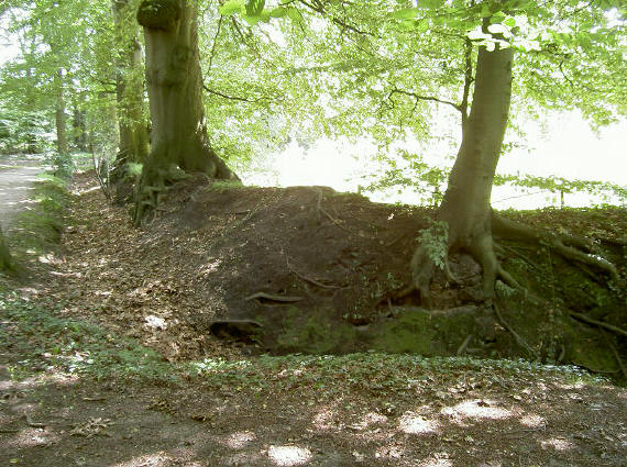 ook karakteristiek - overal wallen met oude bomen erop..