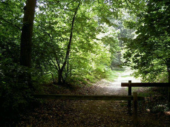 begin wandelpad...