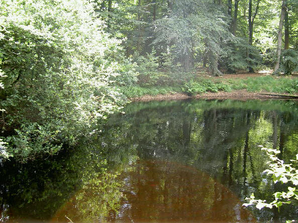 vennetje
