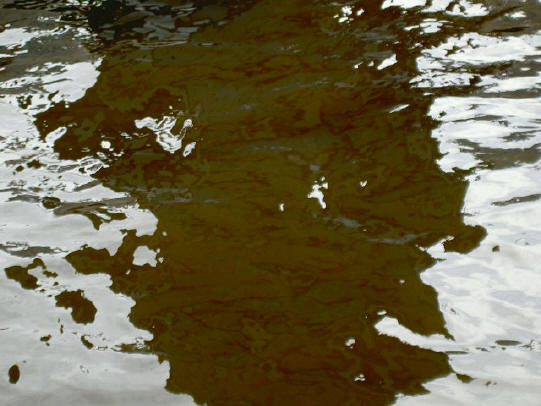 gewoon water