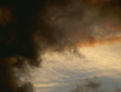 rood, wit, blauw, zwart...