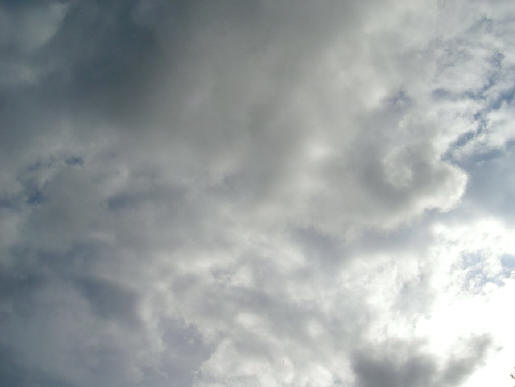 wolk