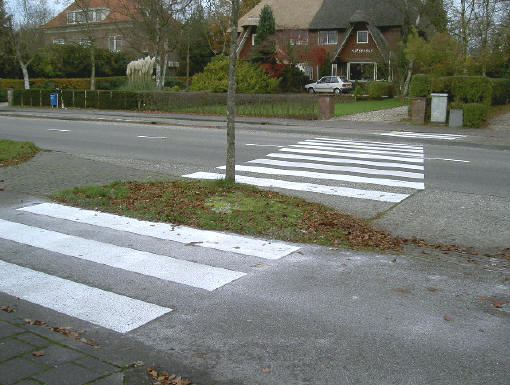zebra met boom...