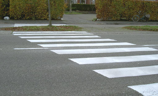 benieuwd wanneer de boom wordt weggehaald...
