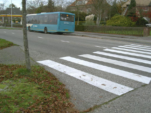 zebra...