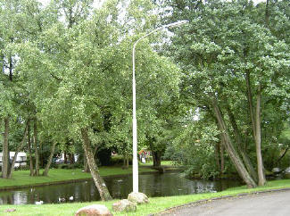 vijver