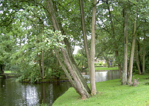 vijver aan de zwanebloemweg