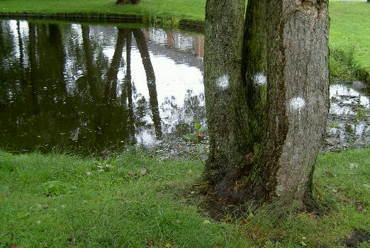 ook die weerspiegeling verdwijnt straks