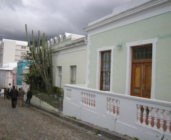 cactussen