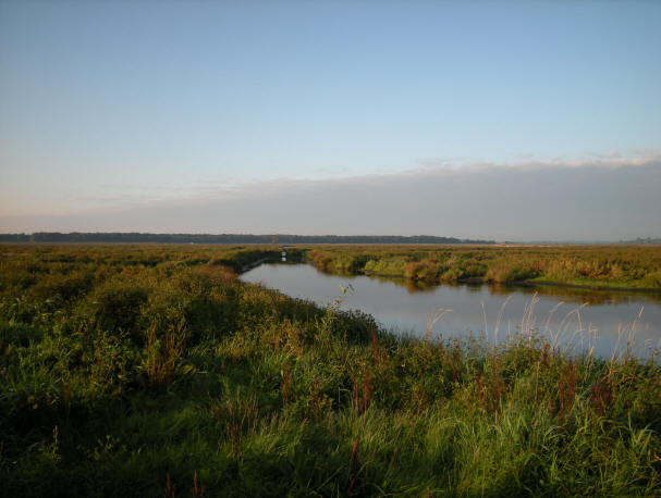 17 september 2008