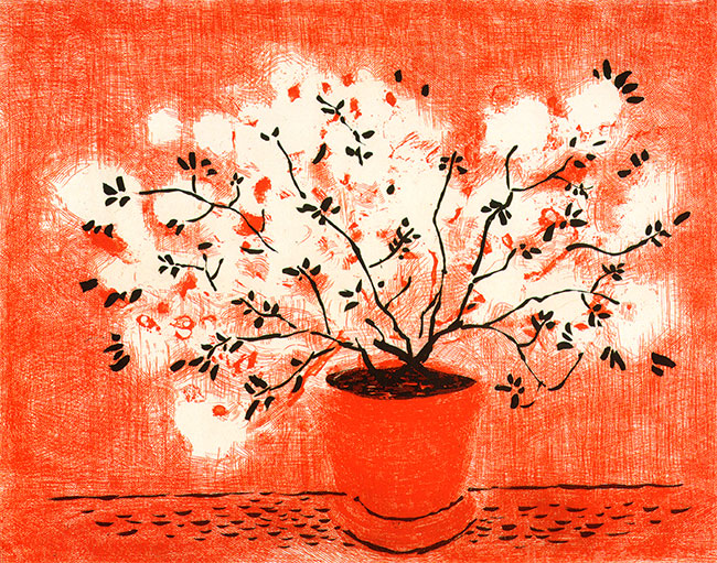 Red Wire plant