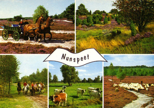 groeten uit nunspeet...