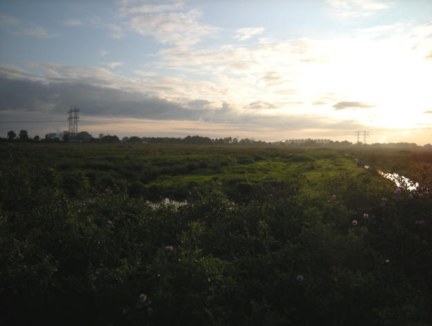 17 september 2008