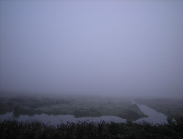 mist in de polder....
