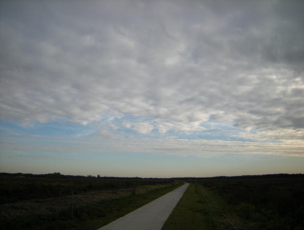 grijs en blauw...