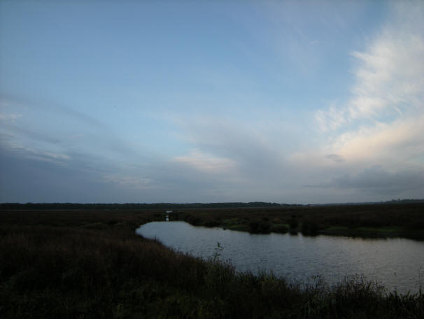 veegwolken...