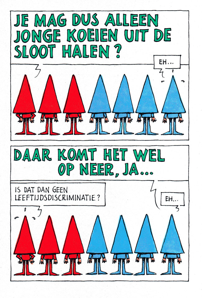 jonge koeien...