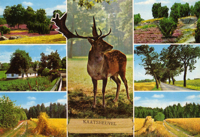 kaatsheuvel..