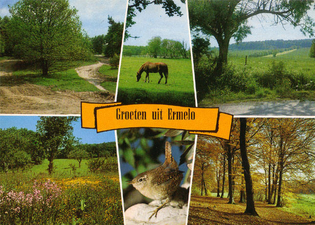 groeten uit ermelo..
