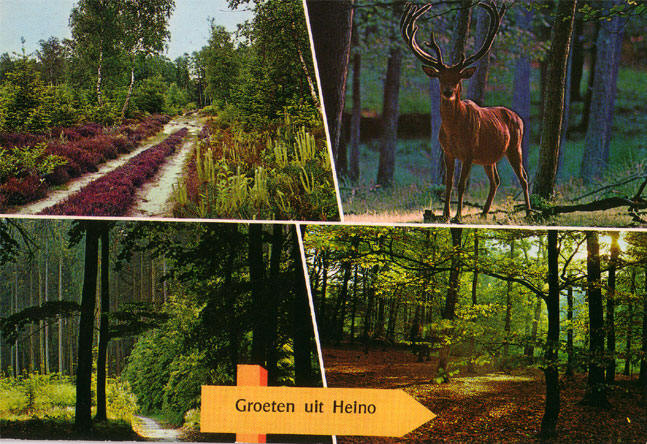 heino